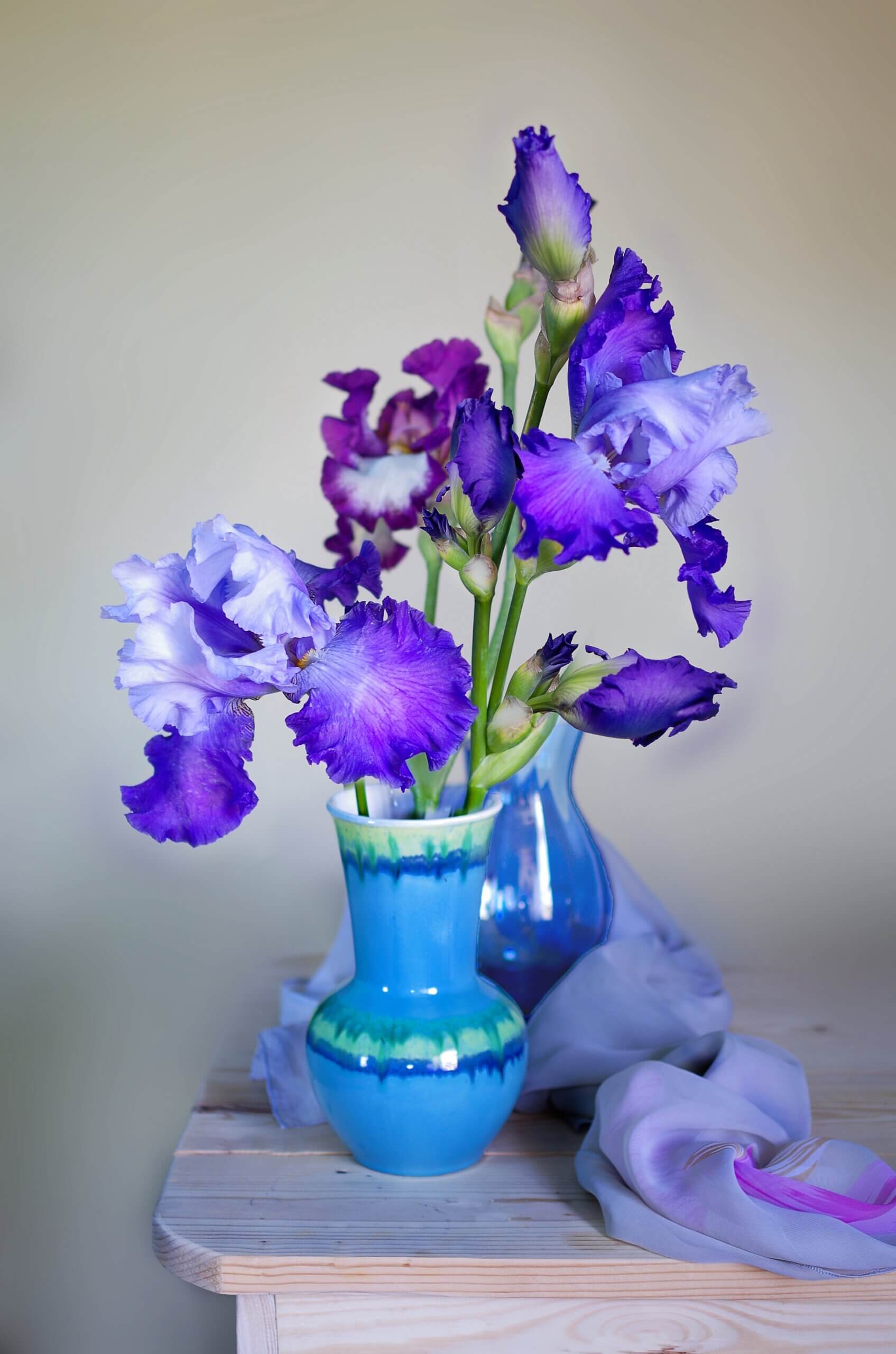 Purple Irises in a vase